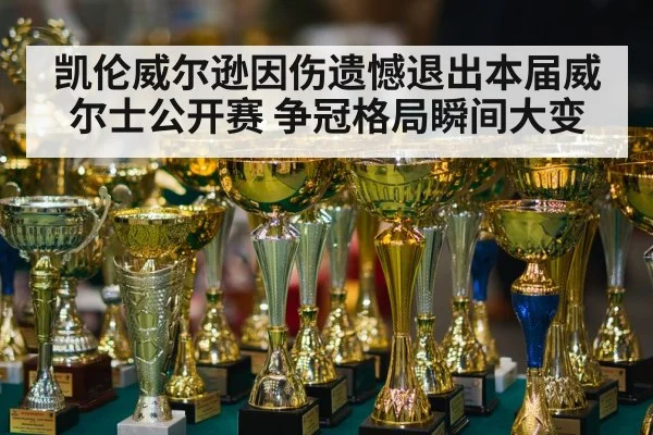 凯伦威尔逊因伤遗憾退出本届威尔士公开赛 争冠格局瞬间大变